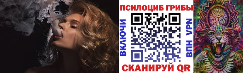 как найти наркотики Усть-Илимск Псилоцибиновые грибы Psilocybine cubensis